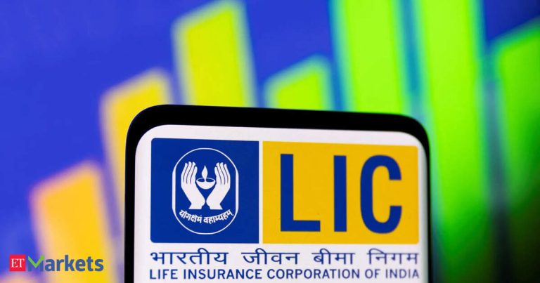 LIC declares Rs 12 final dividend after strong FY25 earnings, sets record date