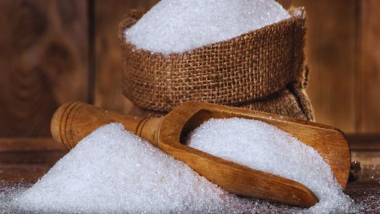 India’s sugar production reaches 257.44 lakh tonnes as of May 15; positive outlook for 2025–26