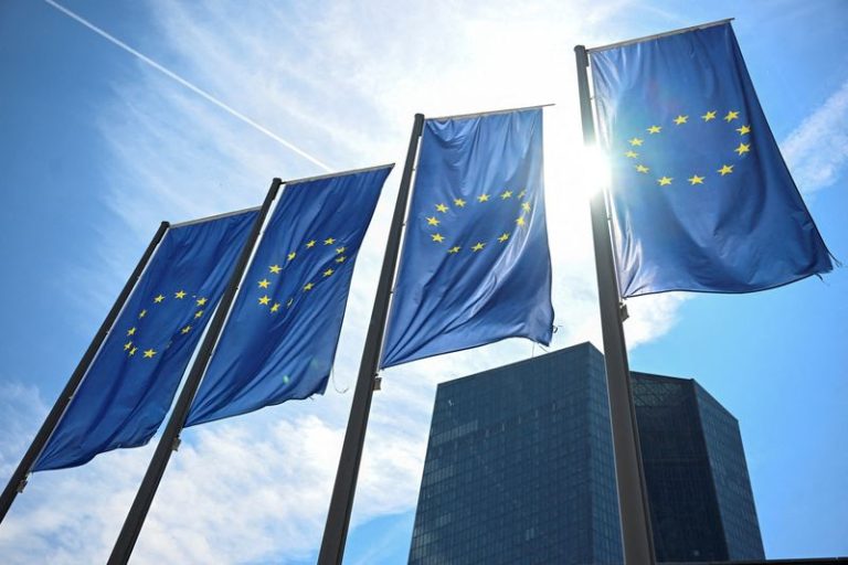 Euro zone core inflation jump not seen preventing rate cut
