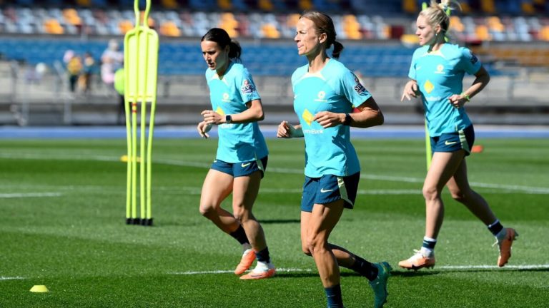 Sermanni says Australia needs to gets serious for Matildas to win World Cup