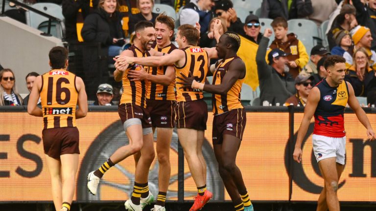 The AFL dropped the ball with Hawthorn’s centenary celebrations