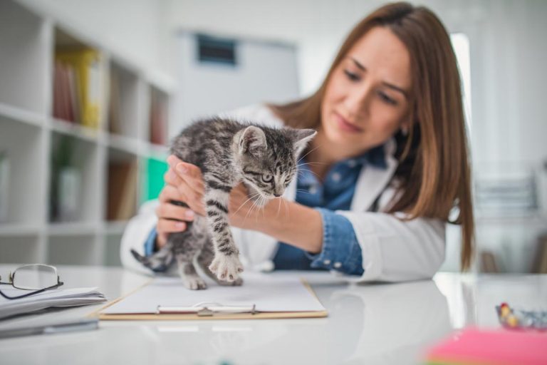 Pets Best pet insurance review 2025