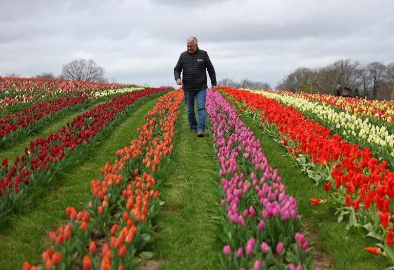 Smart retirement moves to make in your 40s and 50s
