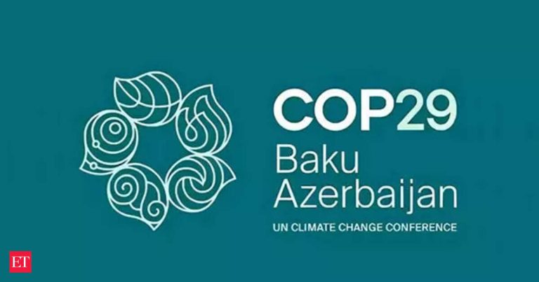 World Bank and IMF climate snub ‘worrying’: COP29 presidency