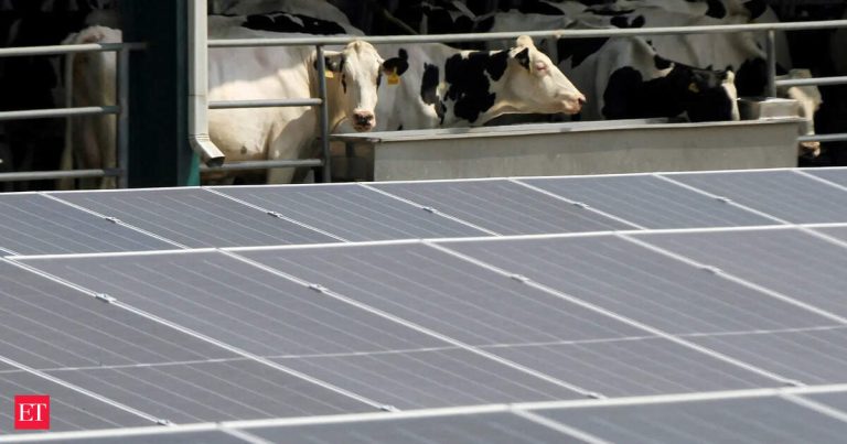 How Pakistan is crowdfunding an energy revolution