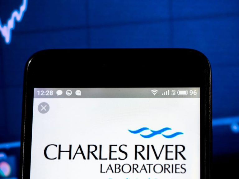 Is Charles River Laboratories Stock Underperforming the S&P 500?