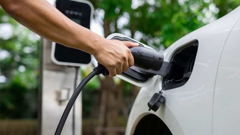 Skoda Volkswagen, Mercedes Benz to make EVs in India; Tesla not interested