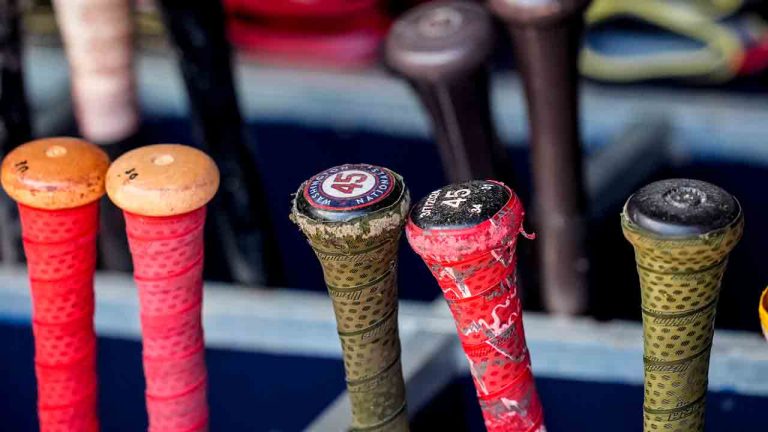 Nationals’ bat-retrieving dog Bruce gets call up to majors from triple-A