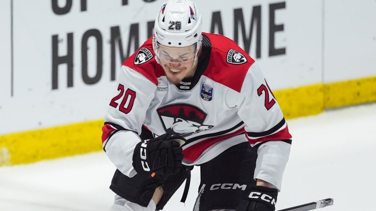 Checkers beat Canucks in OT to force Game 6 in Calder Cup Finals