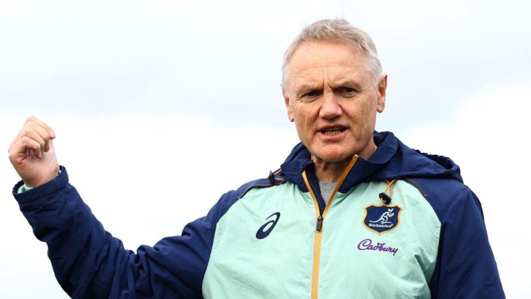 Lions CEO ‘dropped complete, embarrassing, clanger’ with ‘crass’ ultimatum to Schmidt