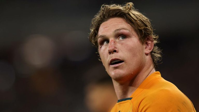 Michael Hooper chose self-preservation over being fed to the Lions