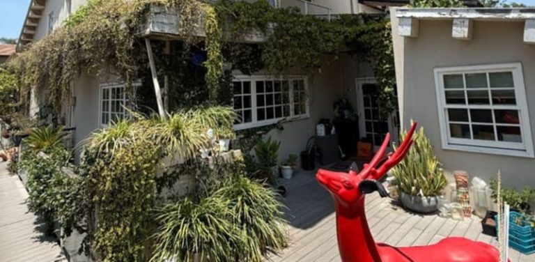 Comedian Zvika Hadar selling Tel Aviv home for NIS 16.5m