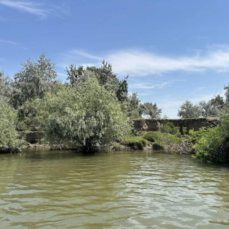 The Danube Delta is hurting