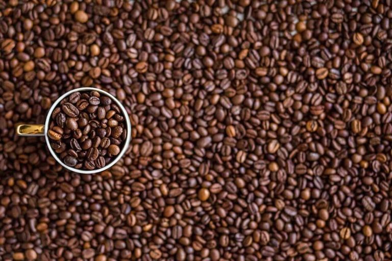 Robusta Coffee Prices Are Still Falling. Are We Finally at an Inflection Point?