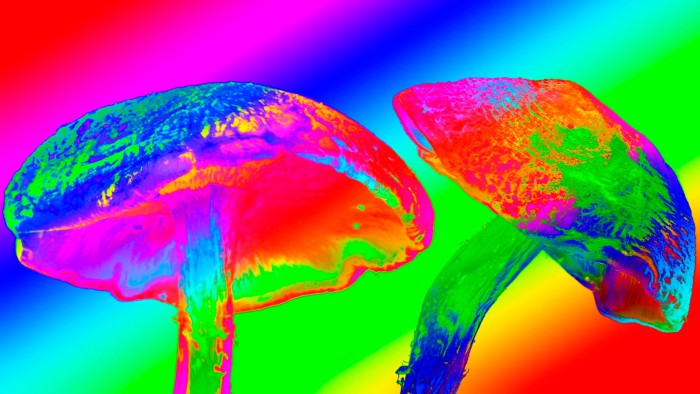 A new psychedelic era dawns in America