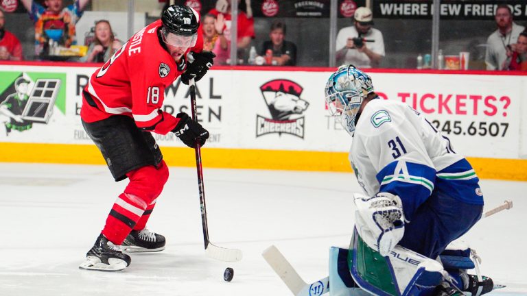 Checkers wonder why their Calder Cup OT goal vs. Canucks didn’t count