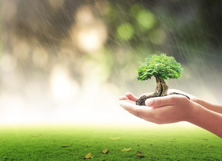 Insiders see green insurance as vital