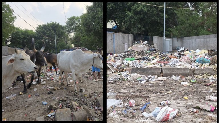 ‘And you want to build Disneyland in Haryana?’: Jet Airways’ former CEO on filthy, trash filled Gururgam streets