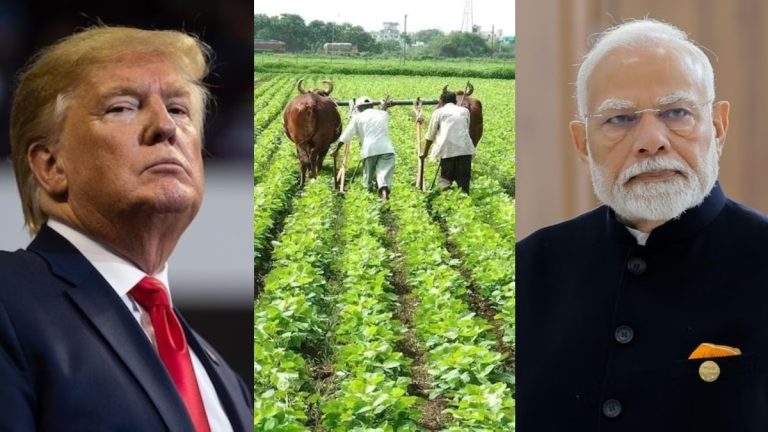 India won’t budge on sensitive sectors in trade deal with US: Sources