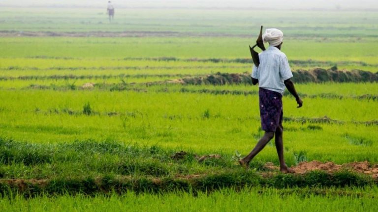 Subsidies or silent tax? Economist explains how Indian farmers are actually net taxed