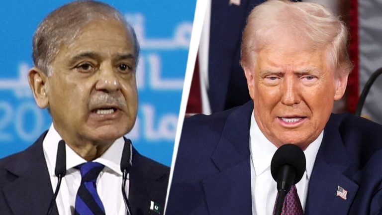 Donald Trump wants Pakistan to sell oil to India but do the barrels even exist? An explainer