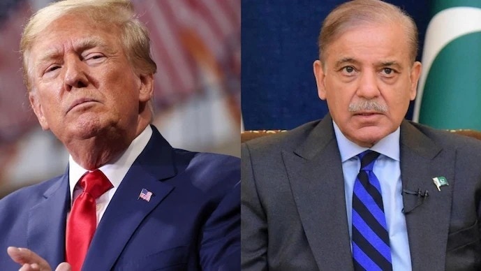‘You’ll be left with Nihari’: Marketing guru tells Shehbaz Sharif after Trump announces US Pak trade deal