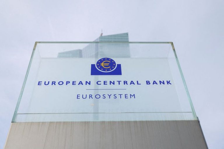 ECB leaves rates steady after a year of easing