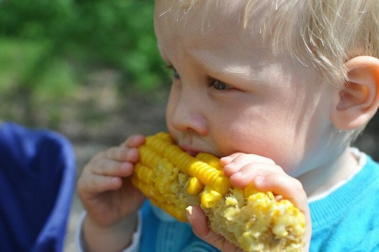 Corn Holds onto Turnaround Tuesday Strength