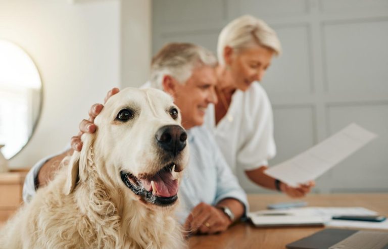 How to compare pet insurance quotes