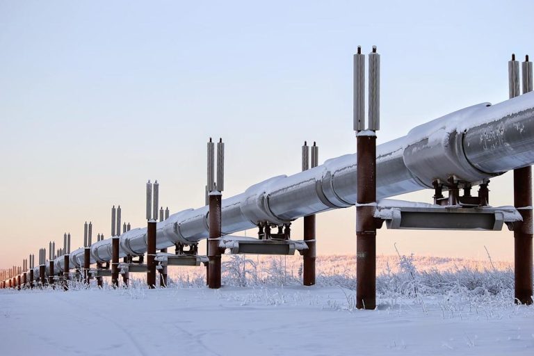 Crude Oil Prices Fall Due to a Focus on Oil Surplus