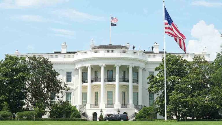 Donald Trump wants to stage UFC fight at White House