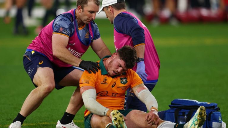 Schmidt slams officials for going against ‘big safety push’ as Wallabies left devastated