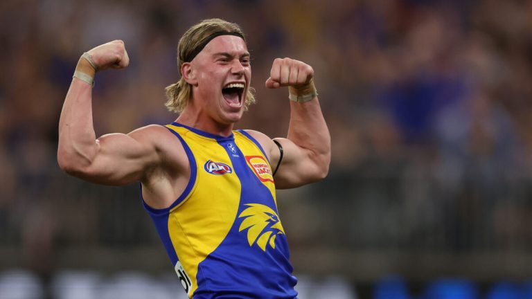 The Roar’s AFL expert tips and predictions, Round 19: Forget the finals race