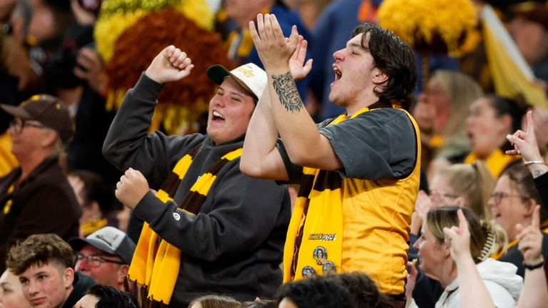 Introducing the Feral Fan Index