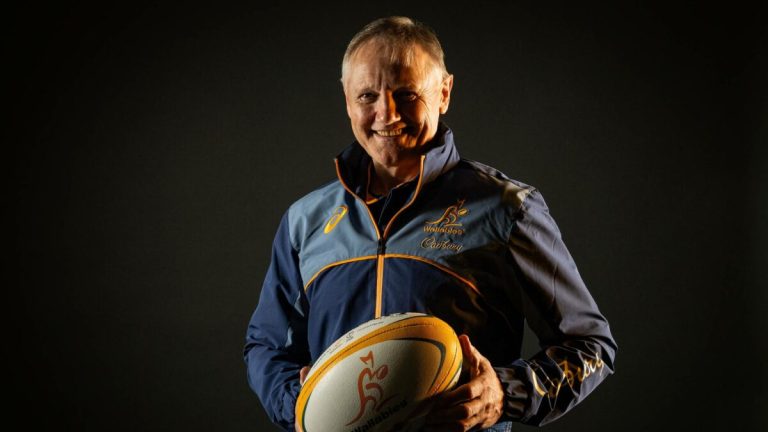 Schmidt plays down Wallabies injury concerns, explains ‘speed dating’ factor to selection