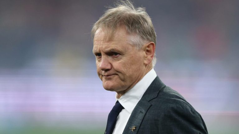 Schmidt won’t face sanction by World Rugby despite ‘disappointing’ reaction from Lions Test