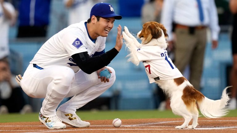 Shohei Ohtani co-writes children’s book starring his dog Decoy