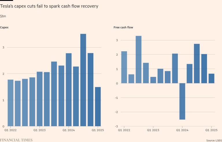 Elon Musk is still the Tesla wild card