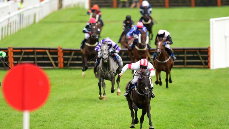Today on Sky Sports Racing: Newton Abbot and Windsor | Racing News