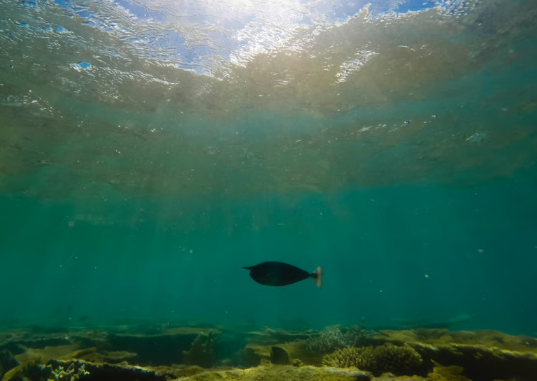 The Ocean Floor Could Power EVs. Will This Company Reap the Rewards?