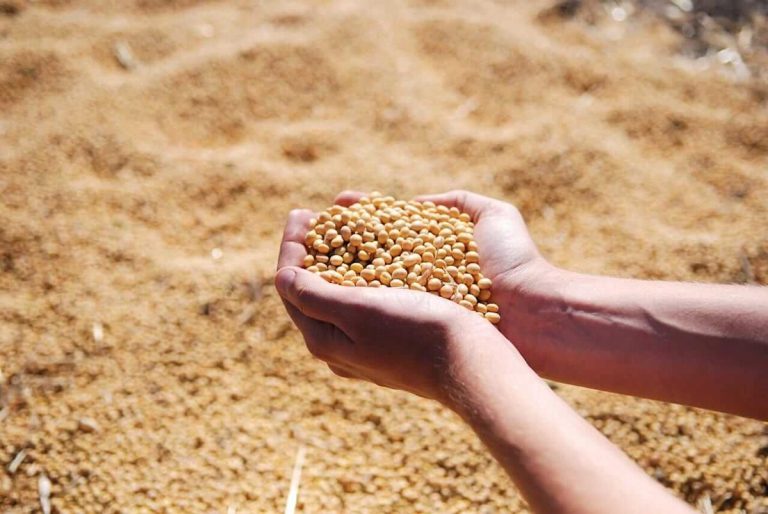 Soybeans End Tuesday with Pressure