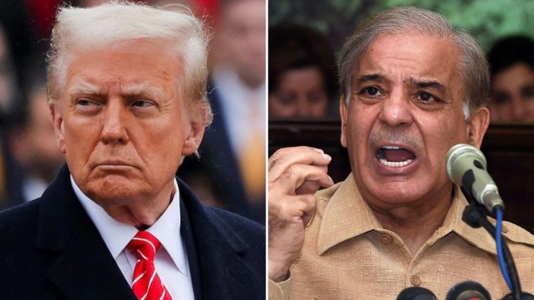 ‘No country knows how to play the US better than Pakistan’: Veteran journalist on Washington’s biases