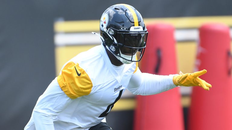 DK Metcalf makes huge claim about Steelers defense