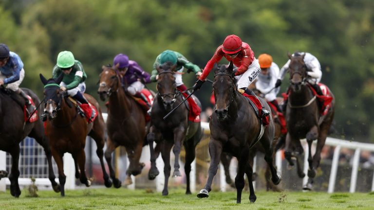 Racing League: Charlie Fellowes’ Team East retain top spot after competitive night of action at Chepstow | Racing News