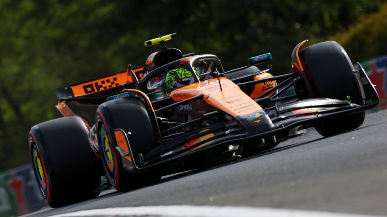 Hungarian GP: Lando Norris outpaces Oscar Piastri to complete Friday practice double as McLaren dominate in Budapest | F1 News